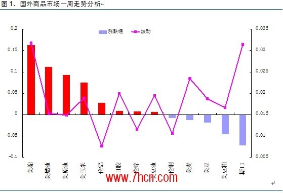 棉花付曉燕1.jpg