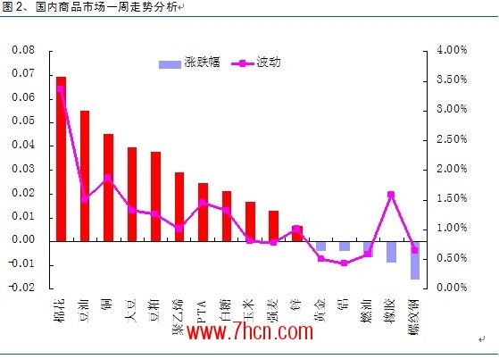 棉花付曉燕2.jpg