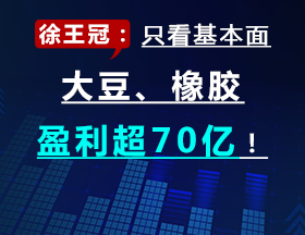 徐王冠：只看基本面，大豆、橡膠盈利超70億！